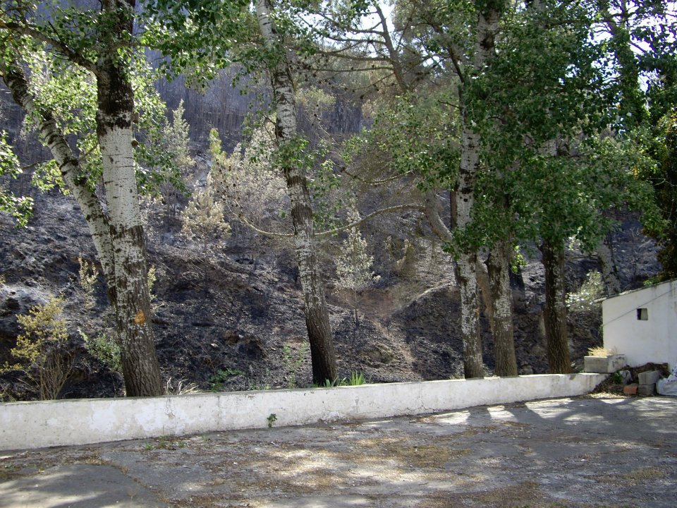 fografias del incendio de 2012 en Artaj