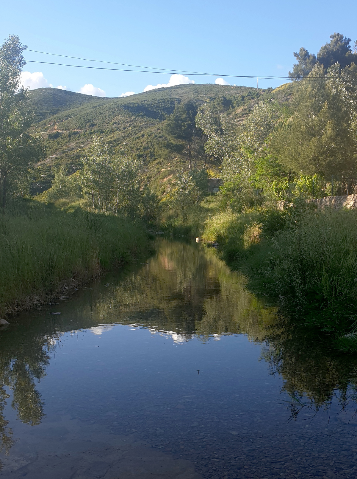 Imagen de la rambla de Artaj con agua